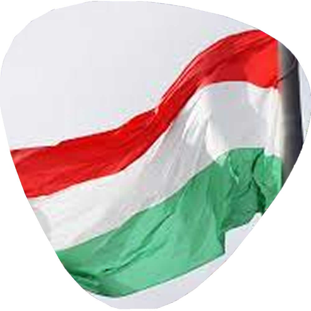 hungarian flag)