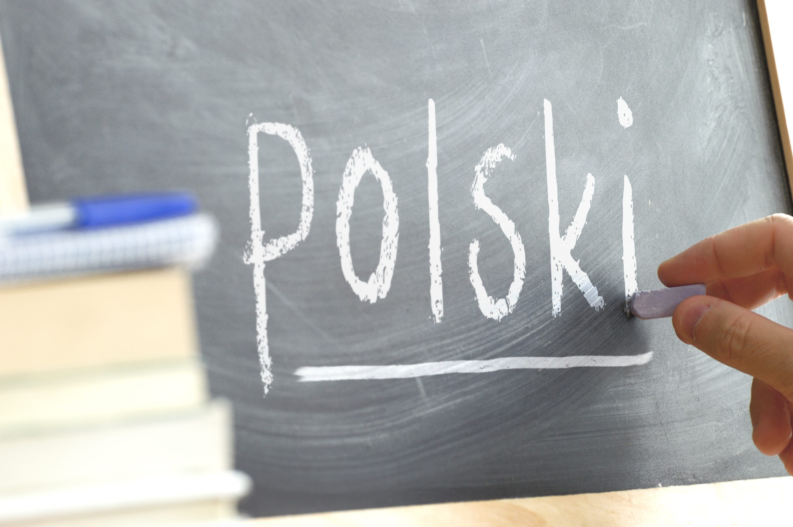 Polish Translation Service