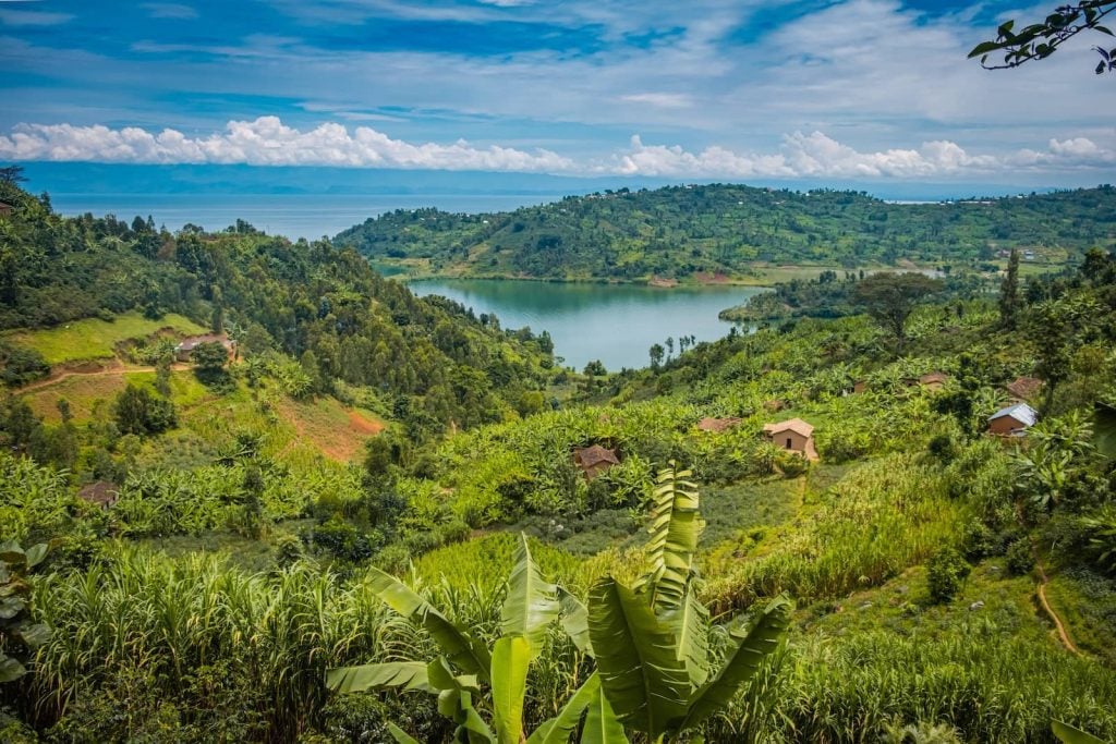 Kinyarwanda Interpreting and Translation Services, Capital Linguists
