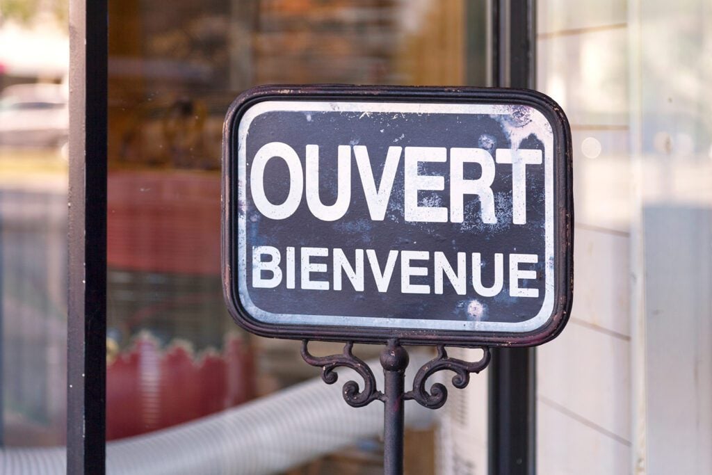 French Localization Strategies for International Audien